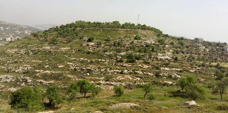 استشهاد شاب فلسطيني طعنًا بالضفة الغربية