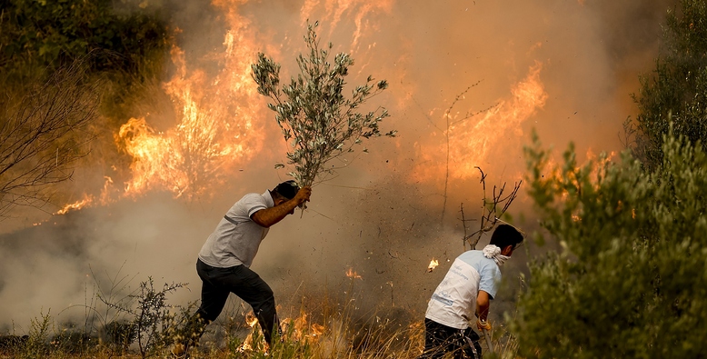 تنفيذ عمليات إجلاء بسبب انتشار حرائق الغابات في تركيا