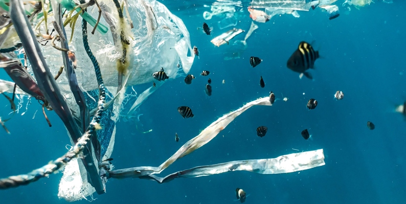 روبوتات لجمع دقائق البلاستيك في المحيطات