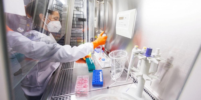 كوريا الجنوبية تسجل أول حالتي اشتباه بـ “جدري القرود”