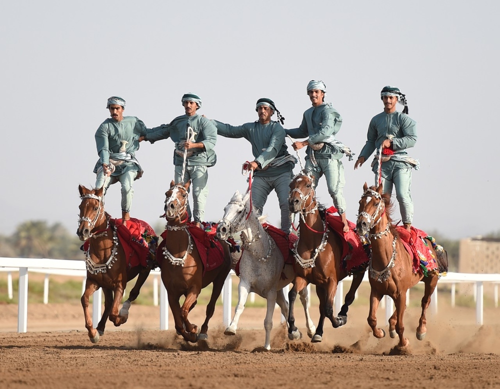 عرضة الخيل.. موروث ثقافي أصيل