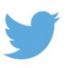 Twitter testing new CoTweets feature for co-authored tweets