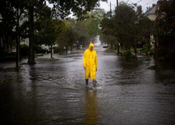 Monsoon in India: IMD forecasts heavy rainfall in several states