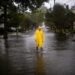Monsoon in India: IMD forecasts heavy rainfall in several states