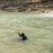 Man drowns in Wadi Darbat, search on for missing person in Sohar