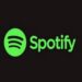 Spotify introduces real-time lyrics on Nest Hub
