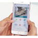 Mobile phone subscriptions increase by 13.9% in May 8 Mobile phone subscriptions increase by 13.9% in May