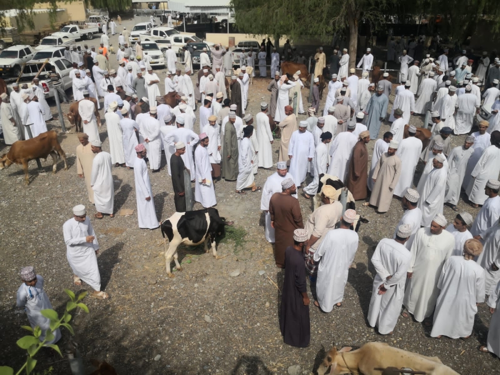 إقبال كبير على شراء الأضحية في هبطات العيد
