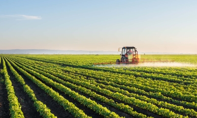 Multiple issues thwart world’s food security goals
