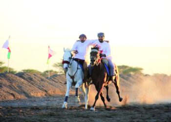 ميدان الفروسية بسمد الشأن يحتضن عرضة الخيل بمشاركة 40 فارسا