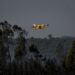 Portugal battles forest fires amid heatwave
