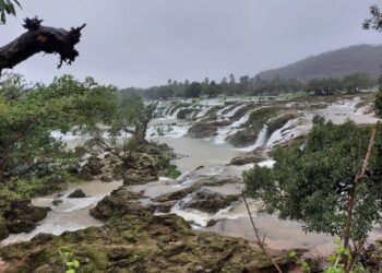 تحذيرات من الاقتراب من الشلالات وجريان الأودية والعيون المائية المتدفقة