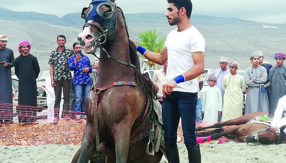 22 فرسا في مهرجان العرضة بالحمراء 1 22 فرسا في مهرجان العرضة بالحمراء