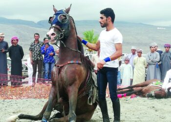 22 فرسا في مهرجان العرضة بالحمراء