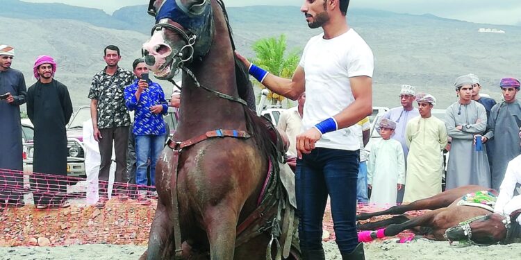 22 فرسا في مهرجان العرضة بالحمراء