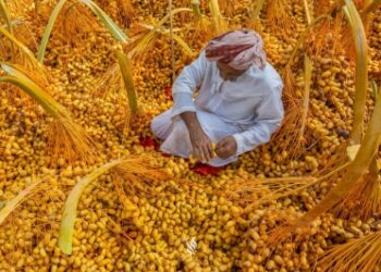 New research vindicates Oman’s foray into global alternative foods industry