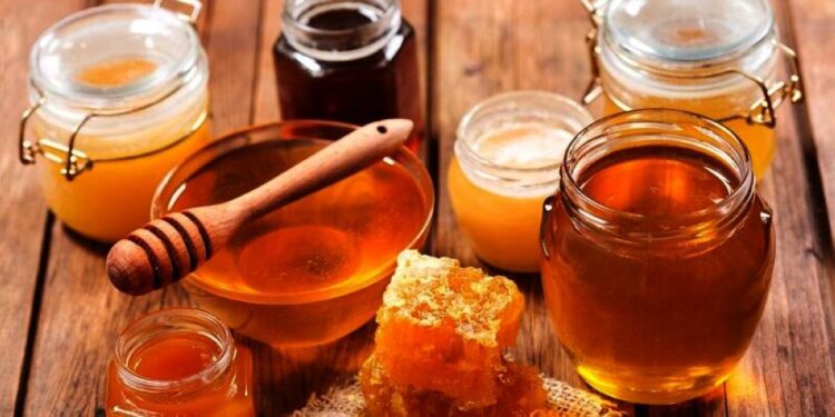 انطلاق معرض العسل والرطب العماني بصلالة.. الأحد المقبل