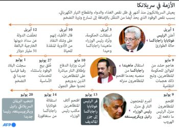 البرلمان السريلانكي ينتخب رانيل ويكريميسينغه رئيسا جديدا