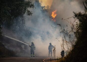 Wildfires rage across Europe as climate alarm sounded