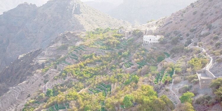 بحث تطلعات أهالي الجبل الأخضر من الخدمات والمشروعات التطويرية