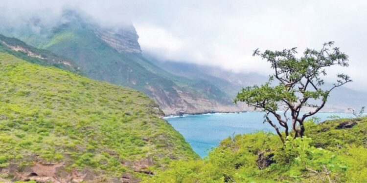 رخيوت.. تضاريس ساحرة تجمع بين الجبل والساحل والصحراء