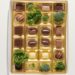 Is Chocolate Good for You?