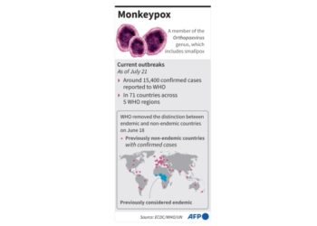 EU watchdog: Approve smallpox vaccine for monkeypox