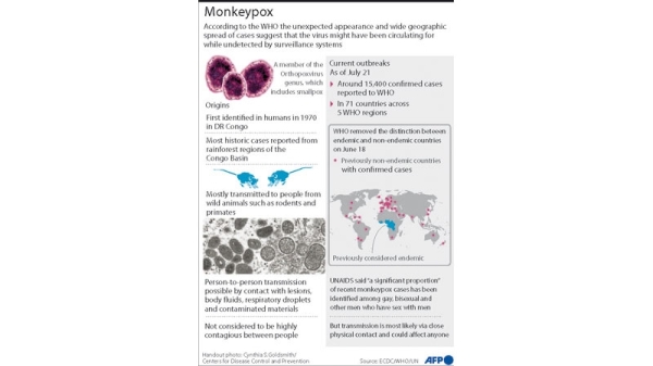 WHO triggers highest alert on monkeypox