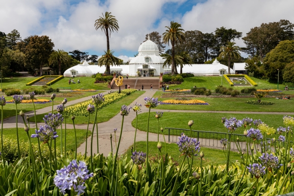 San Francisco Shines With New Museums, Restaurants and Parks