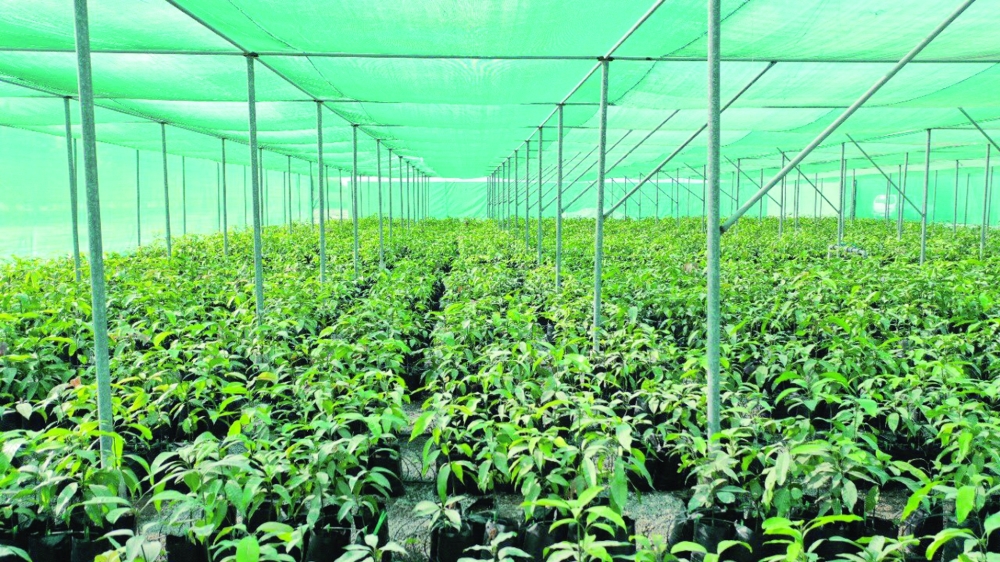 توقيع اتفاقية تنفيذ مشروع إدخال وتقييم تقنيات المزارع الذكية بشراكة كورية