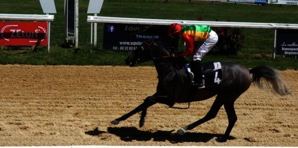 Royal Cavalry achieved first and second place in French