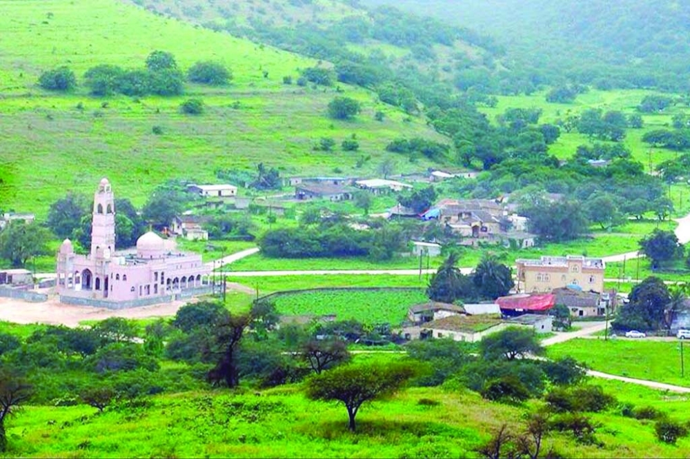 وادي نحيز.. غطاء نباتي أخضر يجذب زوار الخريف