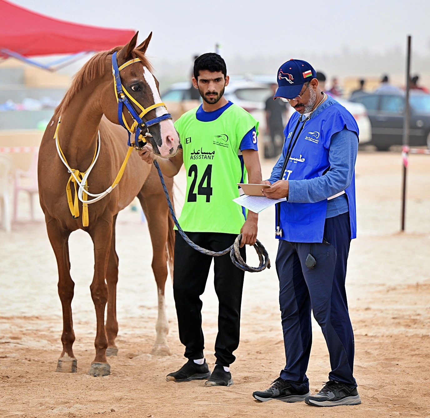 18 خيلًا تنجح في سباق القدرة والتحمُّل التأهيلي بصلالة
