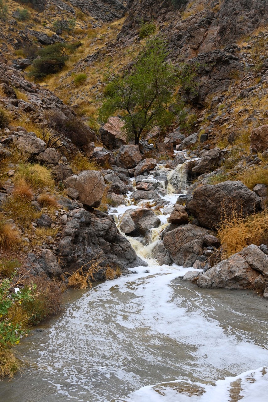 هطول أمطار غزيرة وجريان أودية بولاية العامرات