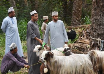 سلطنة عُمان تحتفل غدًا بأول أيام عيد الأضحى المبارك