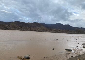 هطول أمطار بمحافظة الظاهرة وجريان الأودية