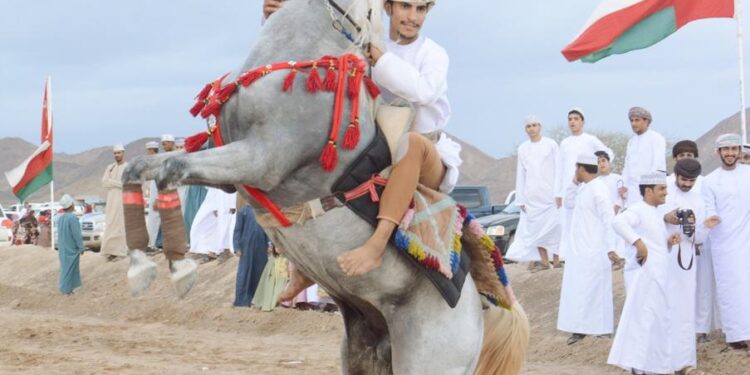 فعاليات متنوعة لرياضة الخيل في مهرجان الفروسية بالمضيبي 1 فعاليات متنوعة لرياضة الخيل في مهرجان الفروسية بالمضيبي