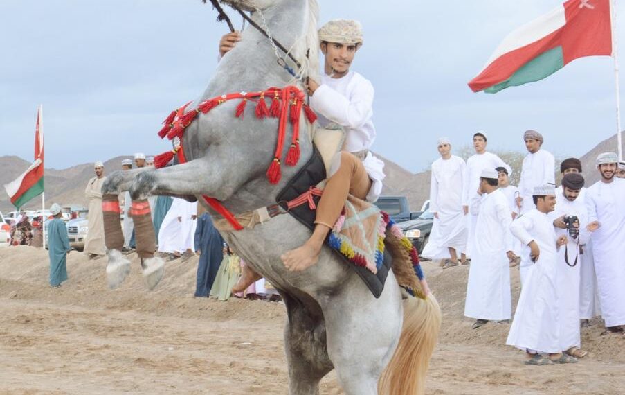 فعاليات متنوعة لرياضة الخيل في مهرجان الفروسية بالمضيبي