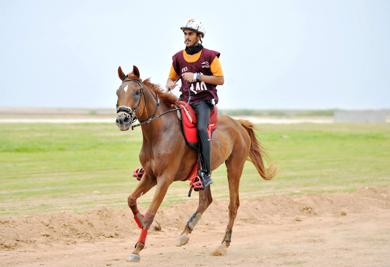الحصان ” لافان” يحرز المركز الأول في سباق القدرة والتحمل بصلالة