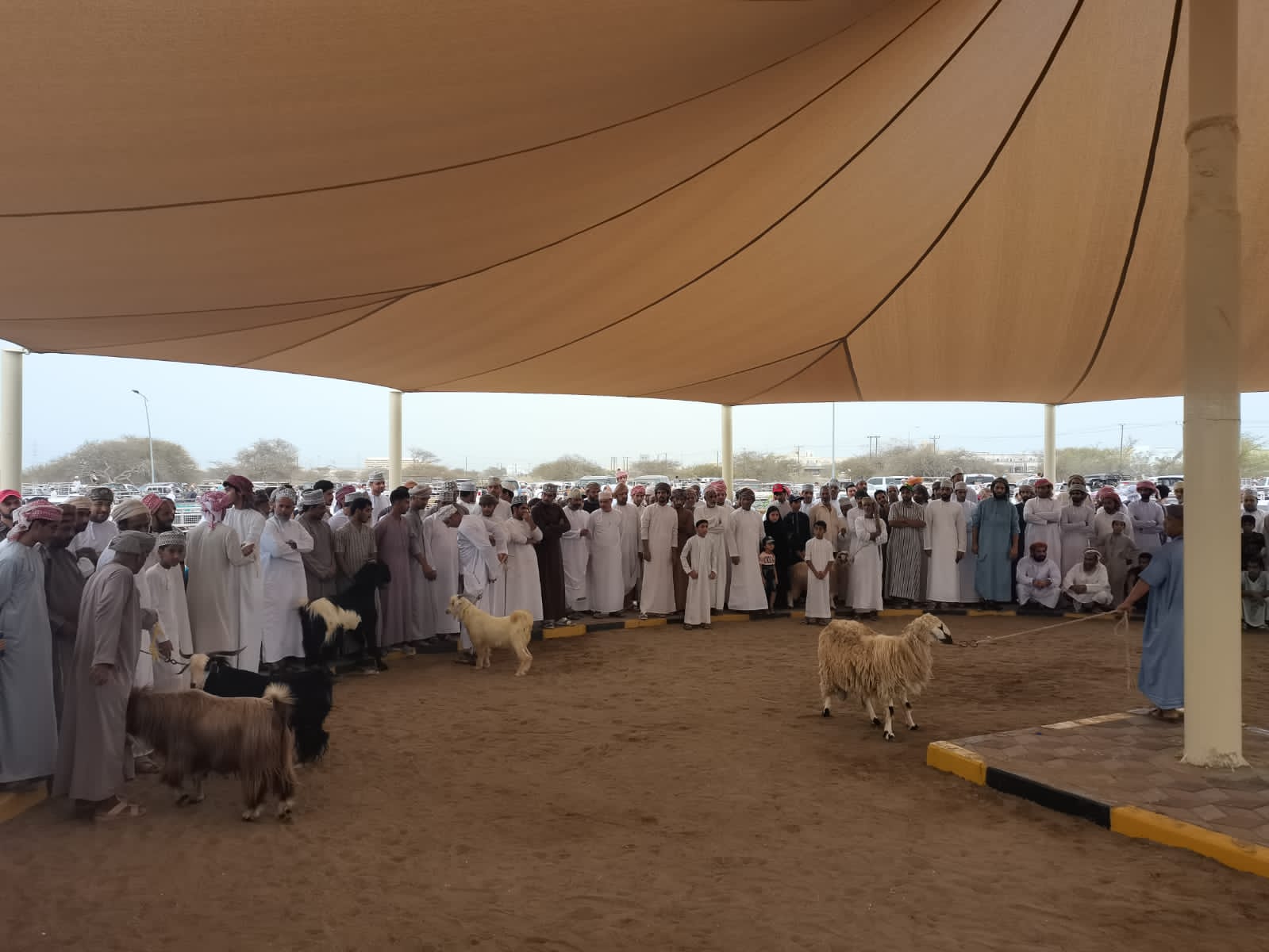 هبطة العيد في ولاية الخابورة فرحة لدى الجميع تسبق فرحة العيد