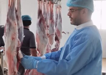 ٨٩٨ إجمالي المذبوحات بمسلخ بلدية الخابورة خلال فترة إجازة عيد الأضحى المبارك