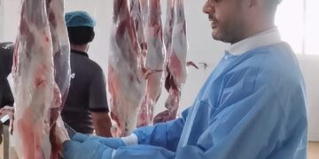 ٨٩٨ إجمالي المذبوحات بمسلخ بلدية الخابورة خلال فترة إجازة عيد الأضحى المبارك