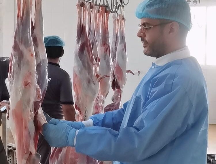 ٨٩٨ إجمالي المذبوحات بمسلخ بلدية الخابورة خلال فترة إجازة عيد الأضحى المبارك 1 ٨٩٨ إجمالي المذبوحات بمسلخ بلدية الخابورة خلال فترة إجازة عيد الأضحى المبارك