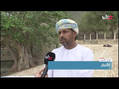 هيئة البيئة بمحافظة ظفار تواصل مكافحة الآفات الحشرية لحماية الأشجار المعمرة