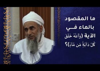 ما المقصود بالماء في الآية (وَٱللَّهُ خَلَقَ كُلَّ دَآبَّةٍۢ مِّن مَّآءٍۢ)؟