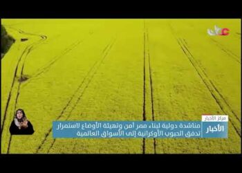 مناشدة دولية لبناء ممر آمن وتهيئة الأوضاع لاستمرار تدفق الحبوب الأوكرانية إلى الأسواق العالمية