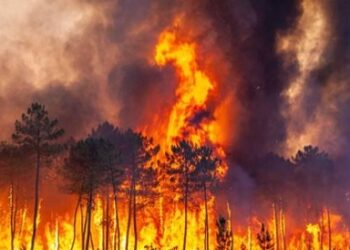 إجلاءُ أكثر من 100 شخص بسبب حرائق الغابات بتوسكانا بإيطاليا