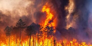 إجلاءُ أكثر من 100 شخص بسبب حرائق الغابات بتوسكانا بإيطاليا