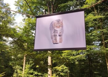 معرض لصور الطبيعة في مدينة “سيلي” البلجيكية