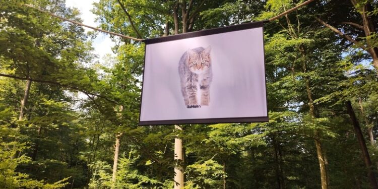 معرض لصور الطبيعة في مدينة “سيلي” البلجيكية